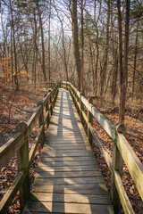 Obraz premium Boardwalk at Rock Bridge Memorial State Park, Missouri