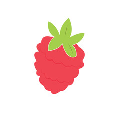 illustration of a raspberry