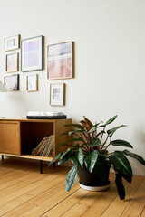 Part of openspace office with record player on console table standing by wall with pictures in frames and green domestic plant in flowerpot