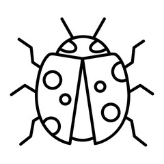 lady bug