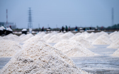 Sea salt farm and blur worker working on farm. Brine salt. Raw material of salt industrial. Sodium...