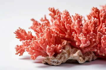Close up pink corals on white background. Travel agency and vacation selection concept. Generative AI