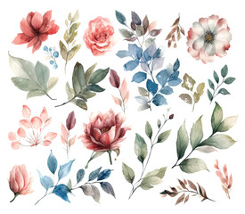 Set of watercolor flowers leaves and twigs on a white background