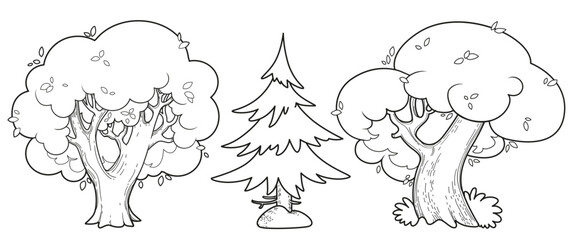 Three big old tree linear drawing two deciduous and one spruce for coloring isolated on white background
