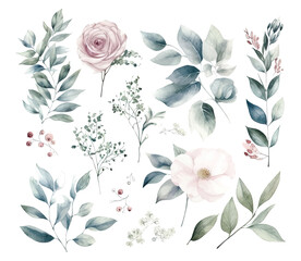 Set of watercolor flowers leaves and twigs on a white background