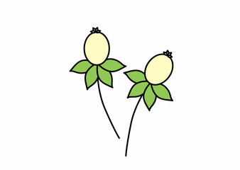 可愛いお花のイラスト