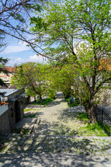 Cobbled streets of the city of Plovdiv, with trees and Bulgarian houses, on a sunny day.