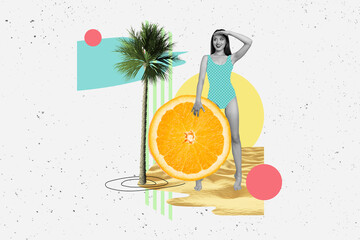 3d retro abstract creative artwork template collage of sexy cool lady lifeguard holding orange slice isolated painting background