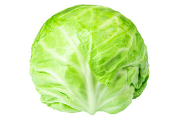 Fototapeta premium Green Head of young cabbage on a white isolate background. Vegetarian natural healthy food.
