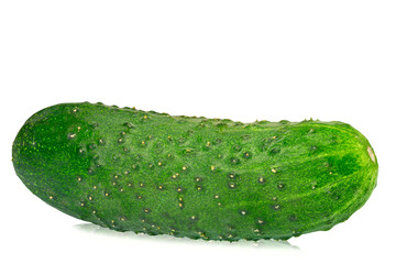 Fresh organic cucumber vegetable isolated on white background. Full depth of field.