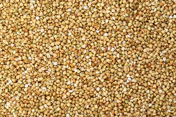 fresh buckwheat. dry buckwheat background. buckwheat texture.