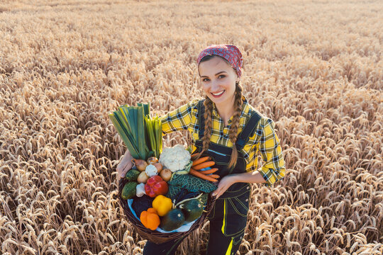Farmer woman offering healthy vegetables in rural environment