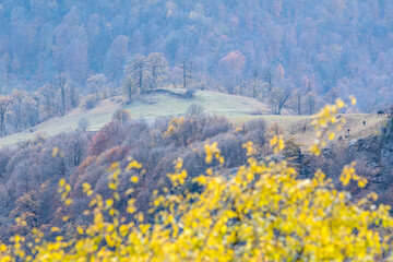 Fototapeta premium Armenian autumn forest landscape. View from Mount Dimats slope on sunny autumn day. Dilijan National Park, Tavush Province, Armenia.
