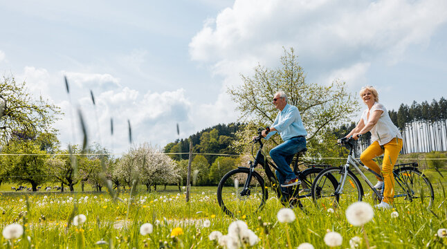 Senior coSenior couple riding bicycles in spring through a meadowuple riding bicycles in spring