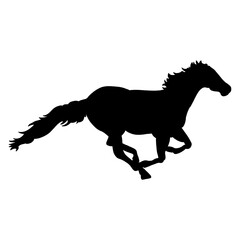 Fototapeta na wymiar silhouette of horse running 