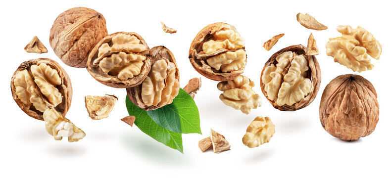 Whole walnuts and walnut kernels levitating in air on white background.