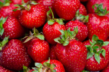 fresh strawberry fruits