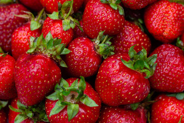 Red background of ripe strawberries. Close up, top view.
