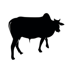 Set of cows. Black silhouette cow isolated on white.