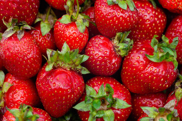 fresh strawberry fruits