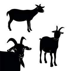 The set of goats silhouetted against a white background.