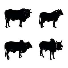 Set of cows. Black silhouette cow isolated on white.