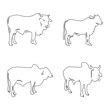 Set of Cow linear style icon. Black line art cow isolated on white. © Tashaa