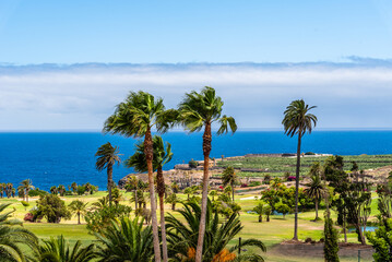 Fototapeta na wymiar Tropical landscape with palm trees, a green meadow and the blue sea in the background. Tenerife, Canary Islands