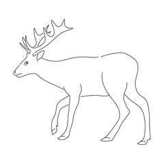 Sketch of Deer. Hand drawn vector illustration.
