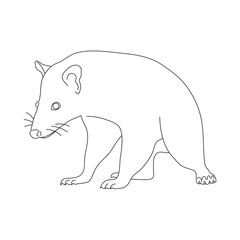 Sketch of Possum drawn by hand. Vector hand drawn illustration.