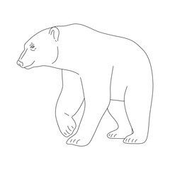 Polar bear in line art drawing style. Vector illustration.