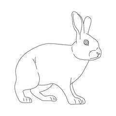 Doodle of Rabbit. Hand drawn vector illustration.
