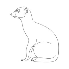 Sketch of Meerkat drawn by hand. Vector hand drawn illustration.