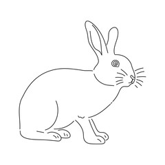 Fototapeta na wymiar Rabbit sketch. Hand drawn vector illustration.