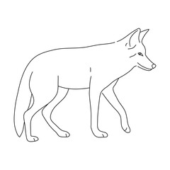 Doodle of Coyote. Hand drawn vector illustration.