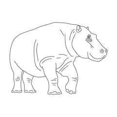 Sketch of Hippopotamus. Hand drawn vector illustration.