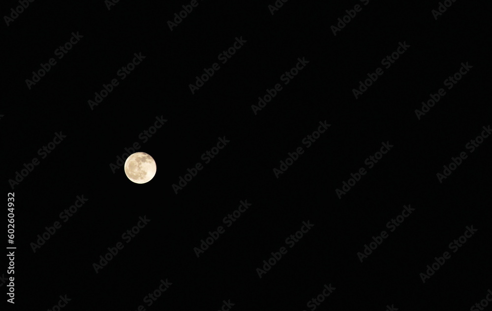 Wall mural bright moon floating on sky in twilight background