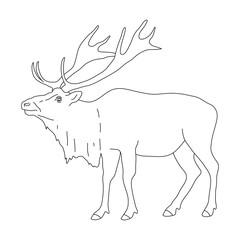 Elk in line art drawing style. Vector illustration.