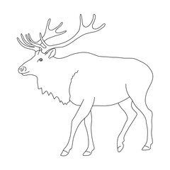 Obraz premium Sketch of Elk. Hand drawn vector illustration.