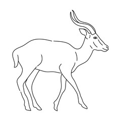Sketch of Antelope drawn by hand. Vector hand drawn illustration.