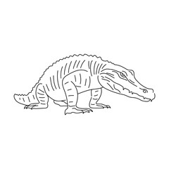 Sketch of Alligator drawn by hand. Vector hand drawn illustration.