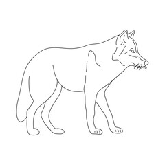 Doodle of Wolf. Hand drawn vector illustration.
