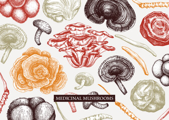 Medicinal mushroom vector background. Sketched adaptogenic plants banner design. Perfect for traditional medicine recipe, menu, label, packaging. Magic fungi sketches in color - 602606565