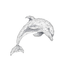Jumping dolphin isolated on white background. Marine Life concept. 3D wireframe vector illustration. Polygonal dolphin in a jump. Low poly graphic art. © AntonKhrupinArt