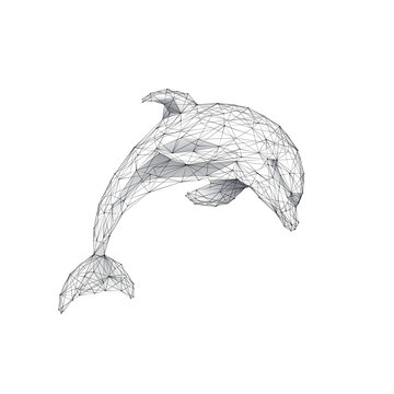 Jumping dolphin isolated on white background. Marine Life concept. 3D wireframe vector illustration. Polygonal dolphin in a jump. Low poly graphic art.