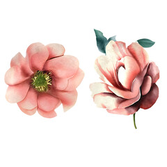 Enchanting Garden Delights: Watercolor Roses, Flowers, and Leaves"
Elegant Botanical Palette: Intricate Rose, Flower, and Leaf Watercolor Illustrations"
Flora and Fauna. Generated AI