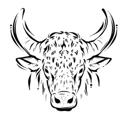 Abstract uncolored zodiac bull head illustration line art. monochrome cow drawing symbol isolated on white background