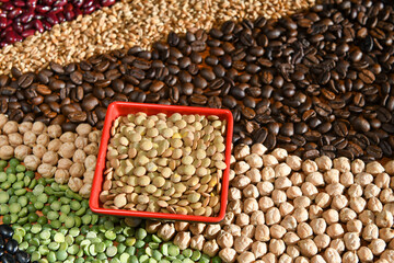 Bowl with raw white lentils on various seeds grain