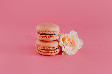 Tasty french macarons with tender rose flowers on a bright pink background.