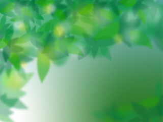 Fototapeta na wymiar 黄金に輝く、新緑の葉の背景